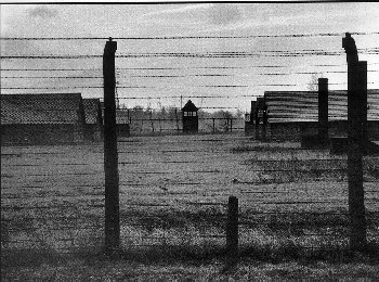 Aushwitz-Birkenau Concentration Camp, Poland
